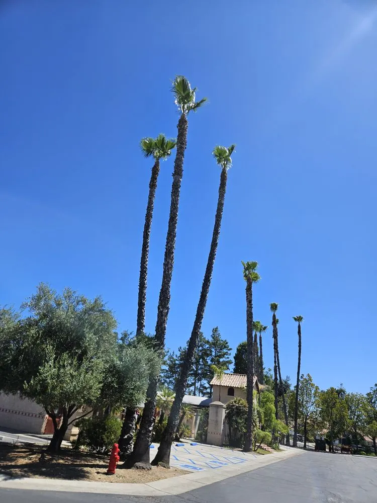 Expert garden landscaping experts serving Moreno Valley, CA - LV Landscape