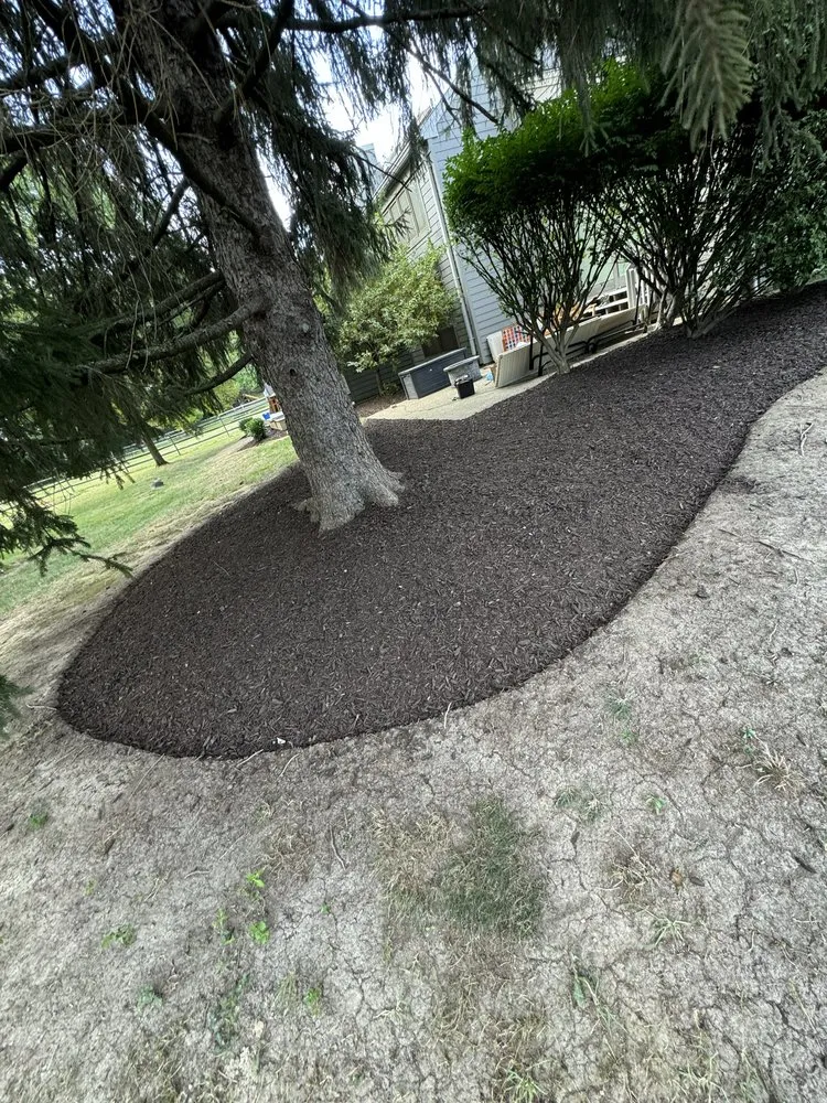 Trusted lawn care service for homes across Springdale, OH - LV Landscape