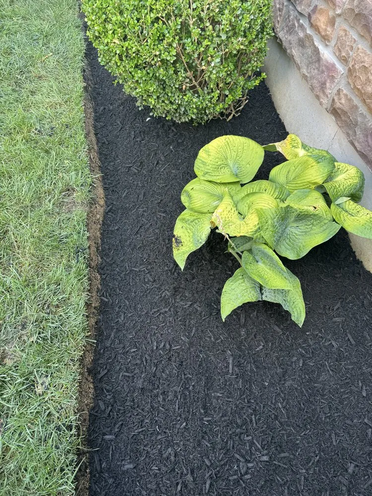 Professional garden landscaping for year-round maintenance in Springdale, OH by LV Landscape