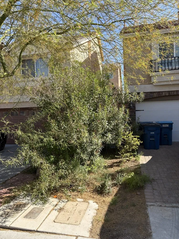 Professional yard maintenance near you across Las Vegas, NV - LV Landscapes