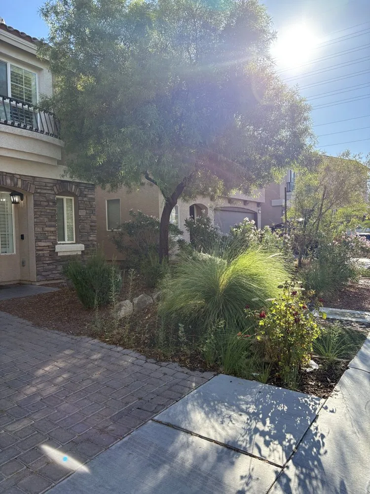 Local residential landscaping in Las Vegas, NV - LV Landscapes