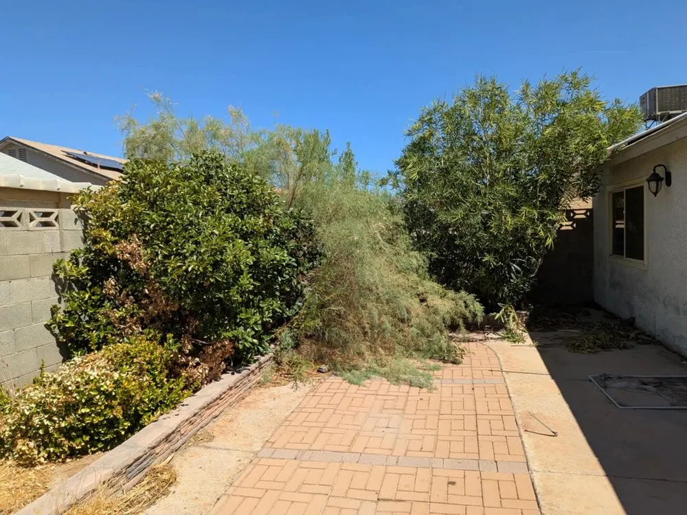 Expert landscaping services in North Las Vegas, NV by LV Lawn