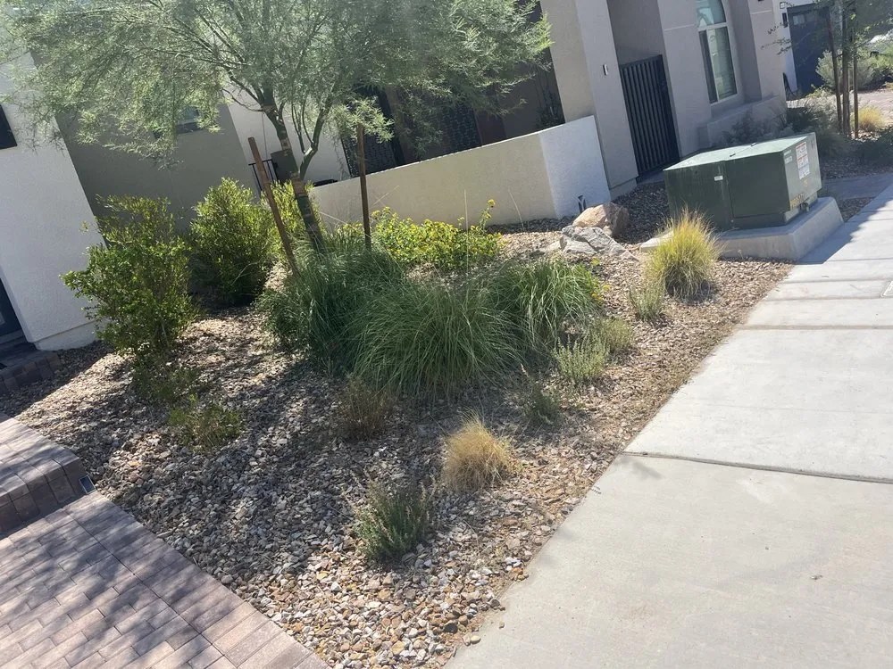 Professional residential landscaping in North Las Vegas, NV by LV Lawn
