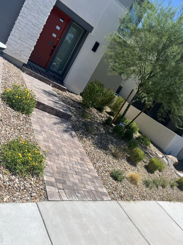 Professional yard cleanup service in North Las Vegas, NV by LV Lawn