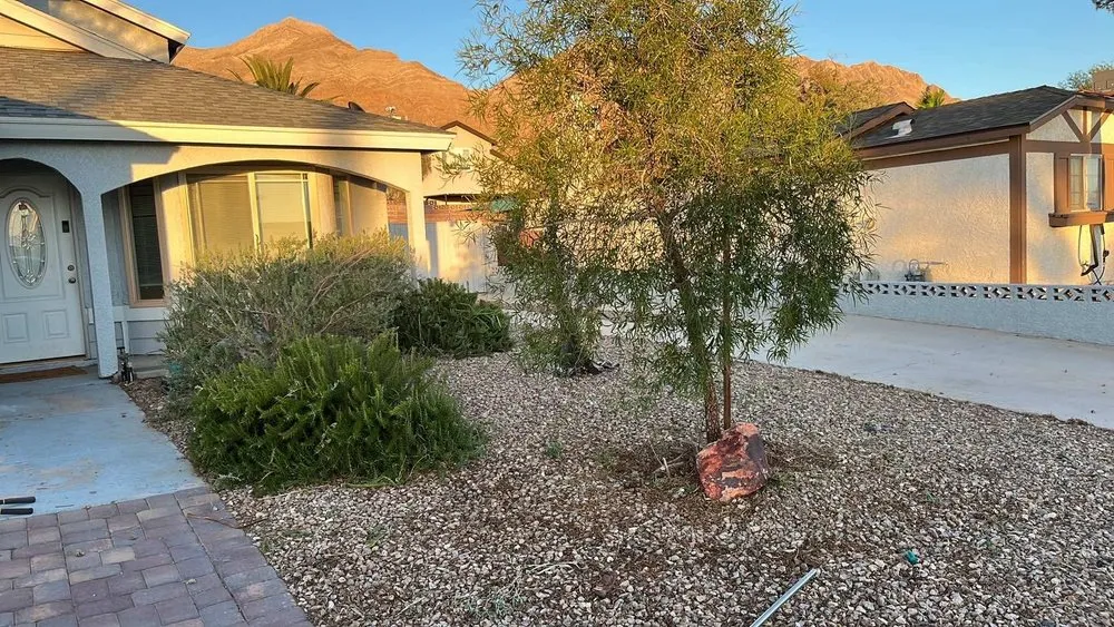Local outdoor landscaping in North Las Vegas, NV - LV Lawn