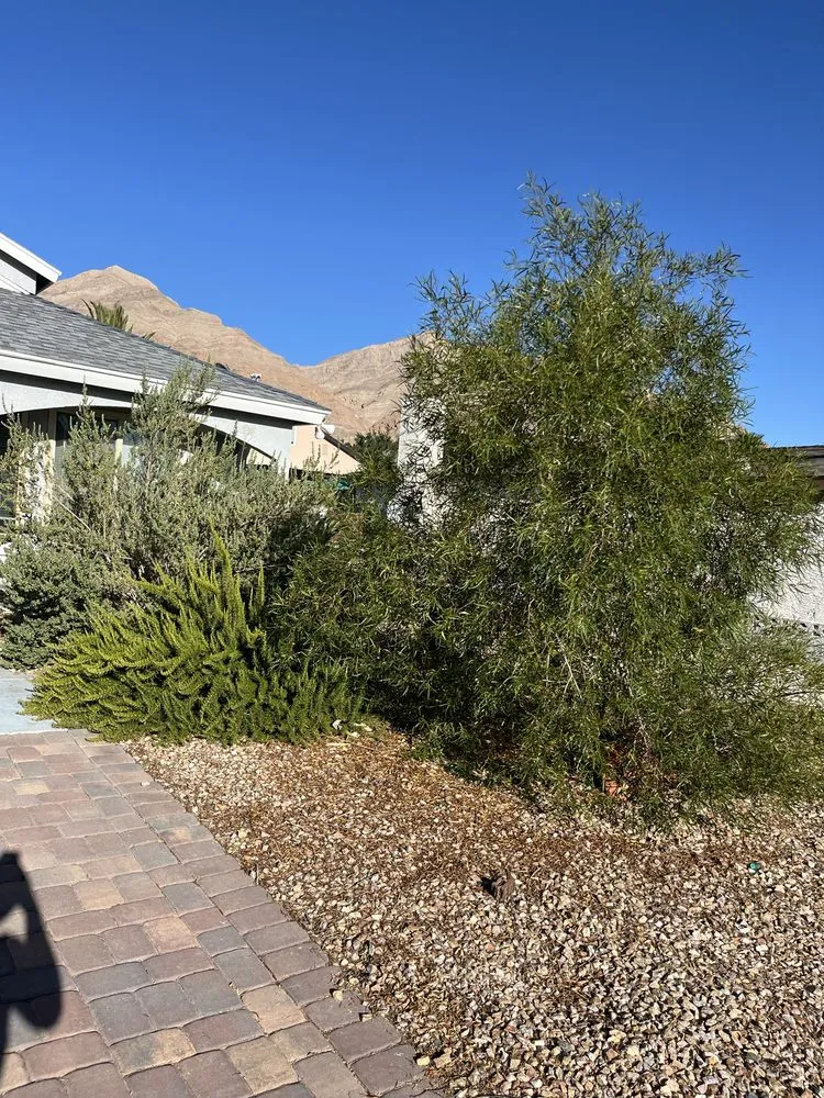 Trusted landscape installation for outdoor upgrades across North Las Vegas, NV - LV Lawn