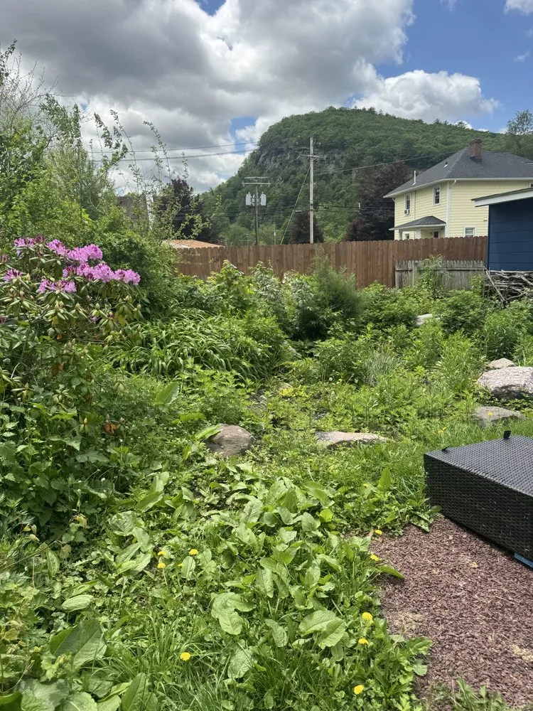 Reliable yard maintenance in Lafayette, NJ by LVD Landscaping