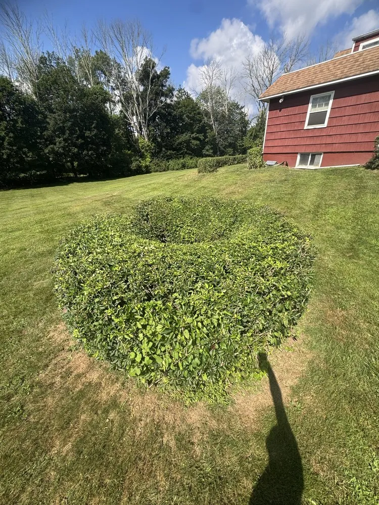 Reliable lawn care service for residential properties across Lafayette, NJ - LVD Landscaping