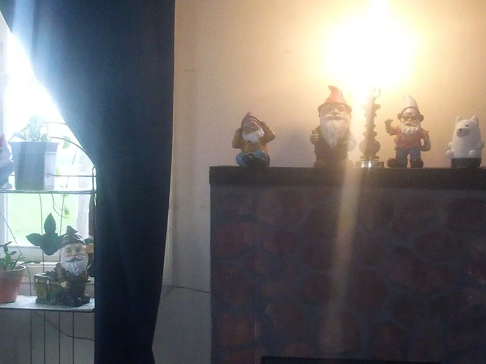 Top-rated landscaping services in Champlain, NY by Lve2cln