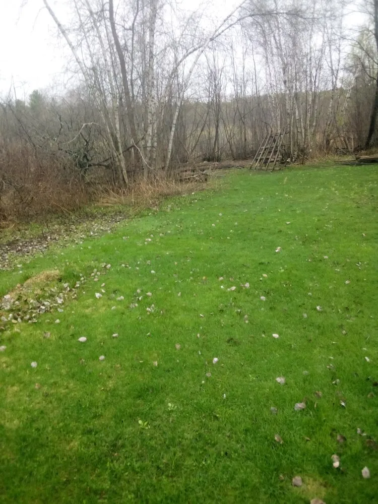 Expert landscape design experts serving Champlain, NY - Lve2cln