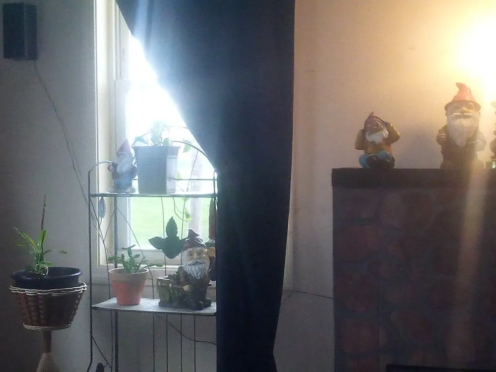 Trusted lawn mowing service in Champlain, NY - Lve2cln