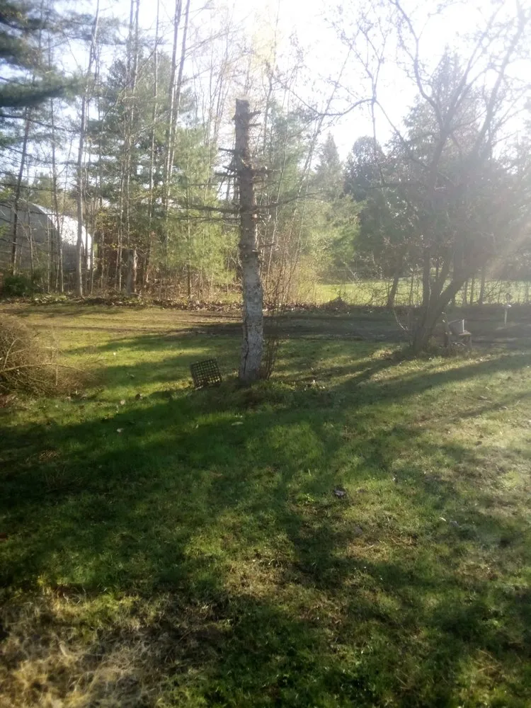 Professional residential landscaping in Champlain, NY by Lve2cln