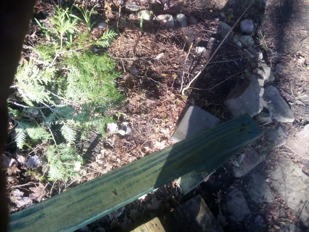 Affordable landscape installation for homes in Champlain, NY by Lve2cln