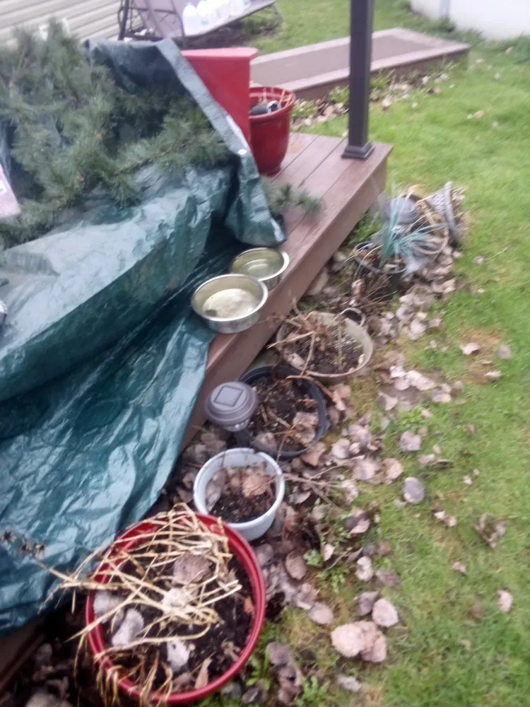 Professional lawn mowing service experts serving Champlain, NY - Lve2cln