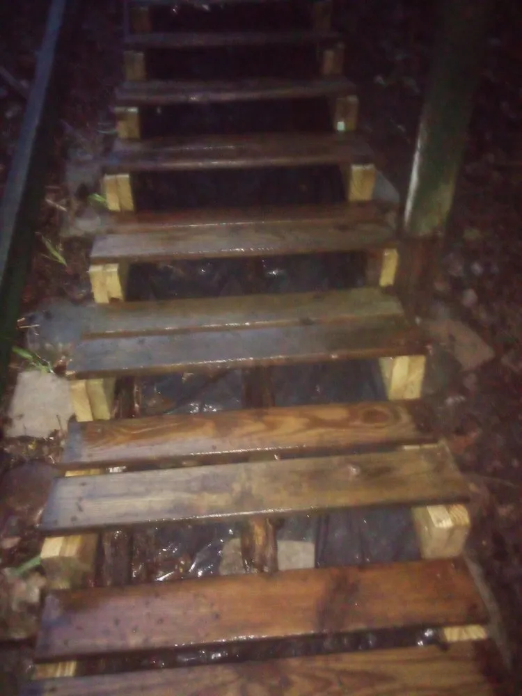 Professional yard maintenance in Champlain, NY by Lve2cln