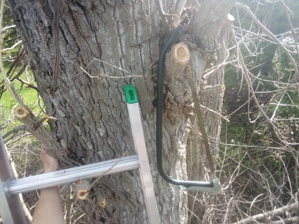 Trusted yard maintenance in Champlain, NY - Lve2cln