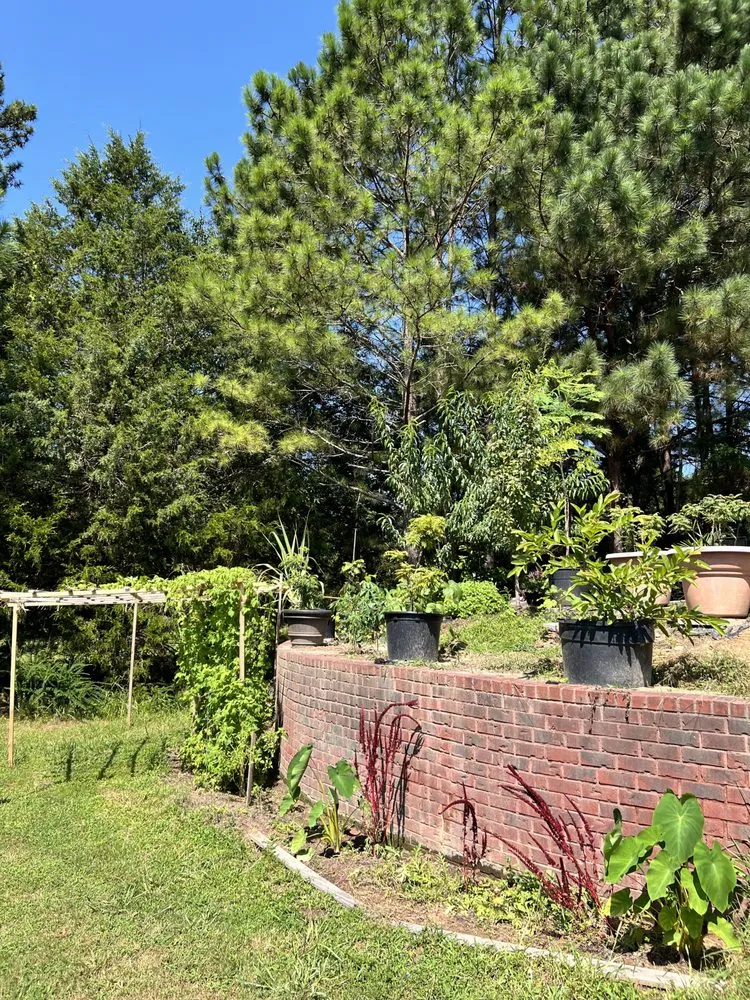 Trusted landscaping services with custom design in Sandy Springs, GA by LVN GREEN LANDSCAPING