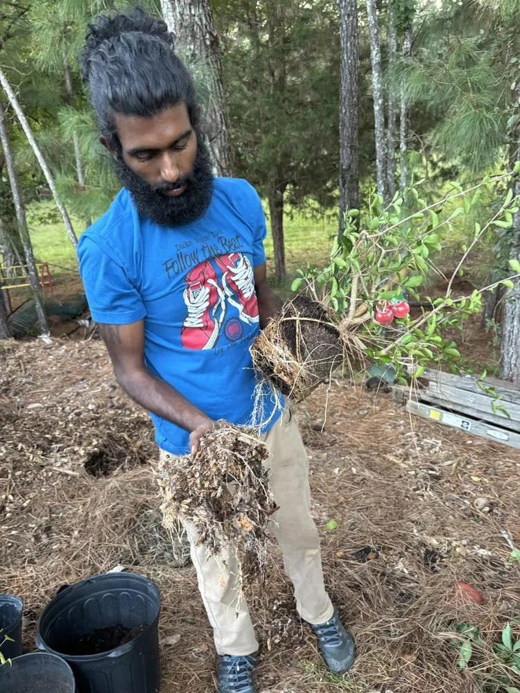 Trusted outdoor landscaping in Sandy Springs, GA - LVN GREEN LANDSCAPING