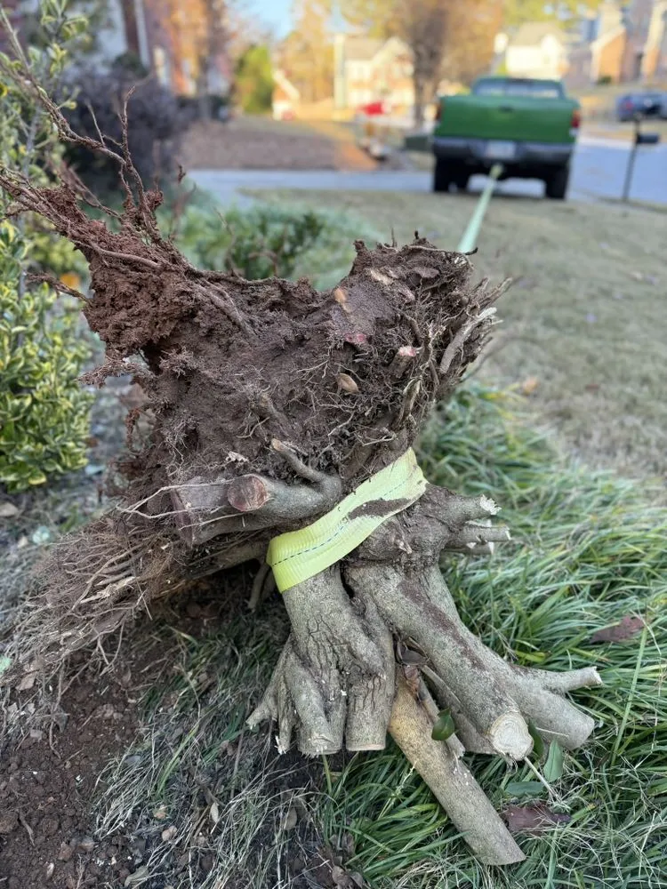 Affordable landscape design in Sandy Springs, GA by LVN GREEN LANDSCAPING