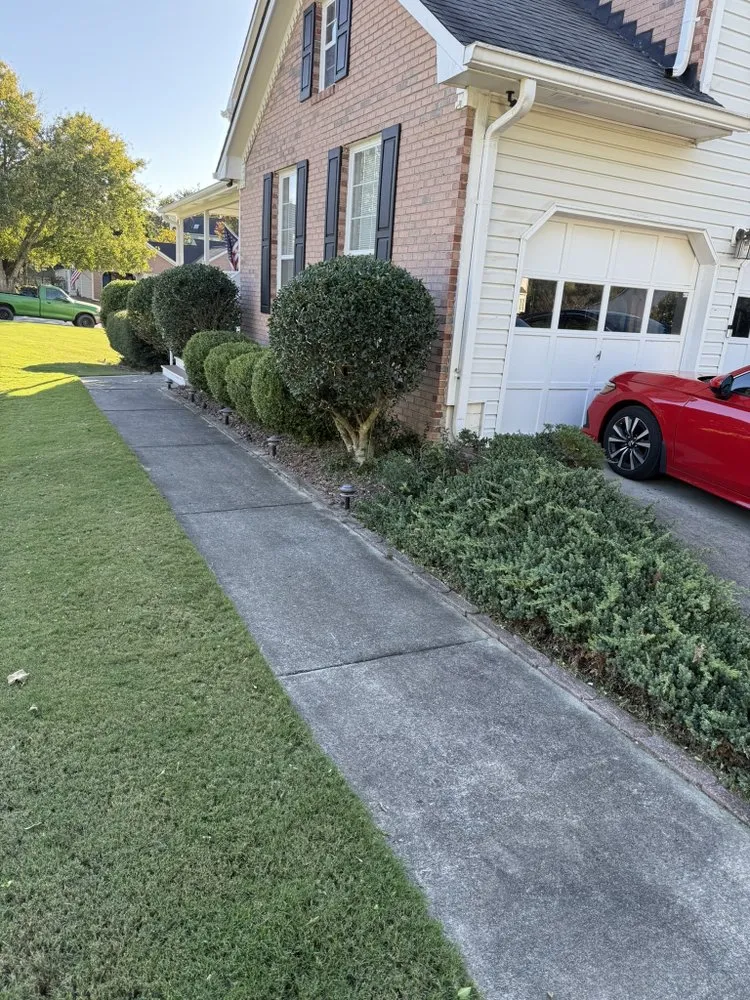 Professional landscaping services experts serving Sandy Springs, GA - LVN GREEN LANDSCAPING