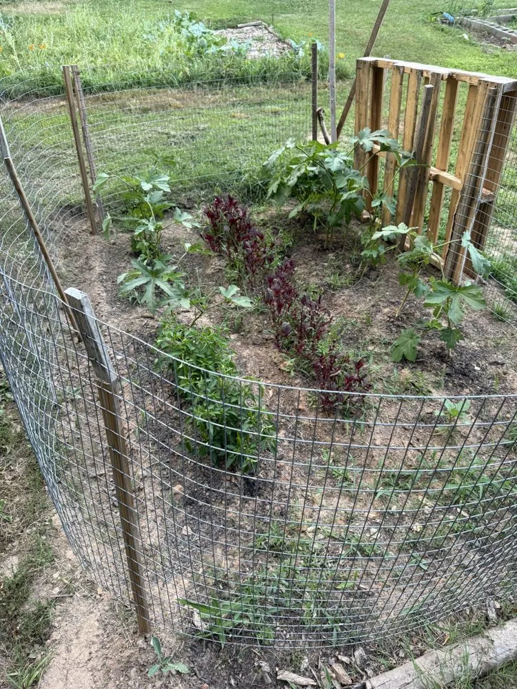 Trusted outdoor landscaping in Sandy Springs, GA by LVN GREEN LANDSCAPING