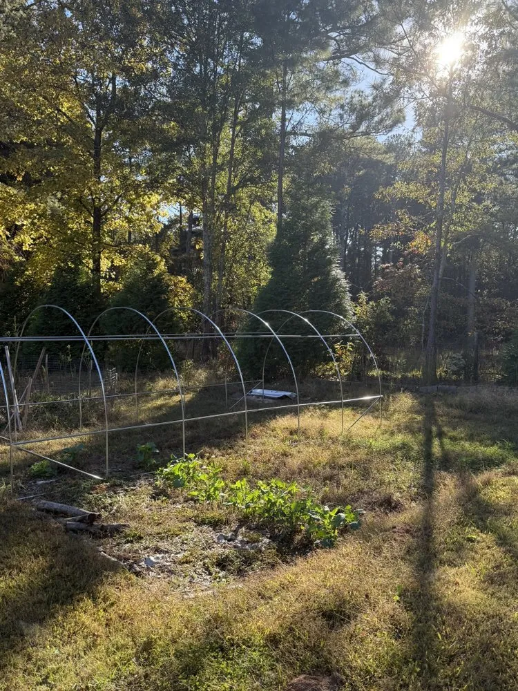 Reliable yard cleanup service in Sandy Springs, GA - LVN GREEN LANDSCAPING