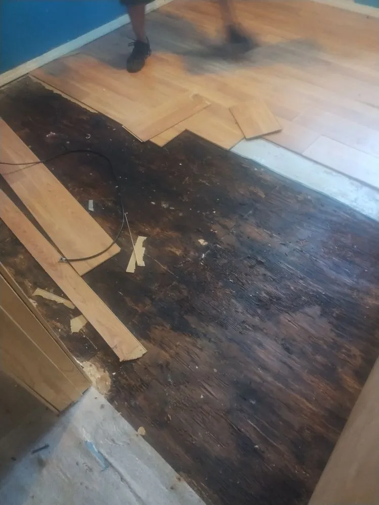 Top-rated landscape installation in Panama City, FL - LVP Pro