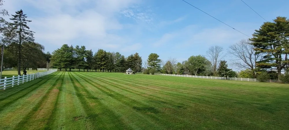 Professional garden landscaping near you in Allentown, PA by Lvpm Landscaping And Excavation