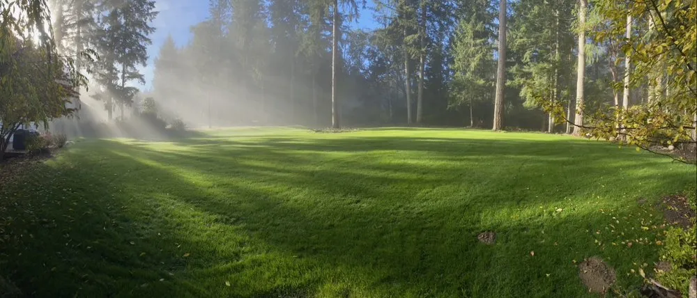 Professional landscape installation in Gig Harbor, WA by L&W Landscape Construction