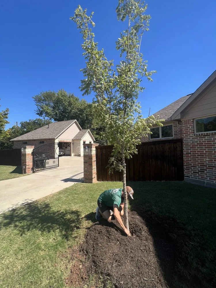 Trusted lawn mowing service for beautiful yards in Midlothian, TX by LW Landscaping