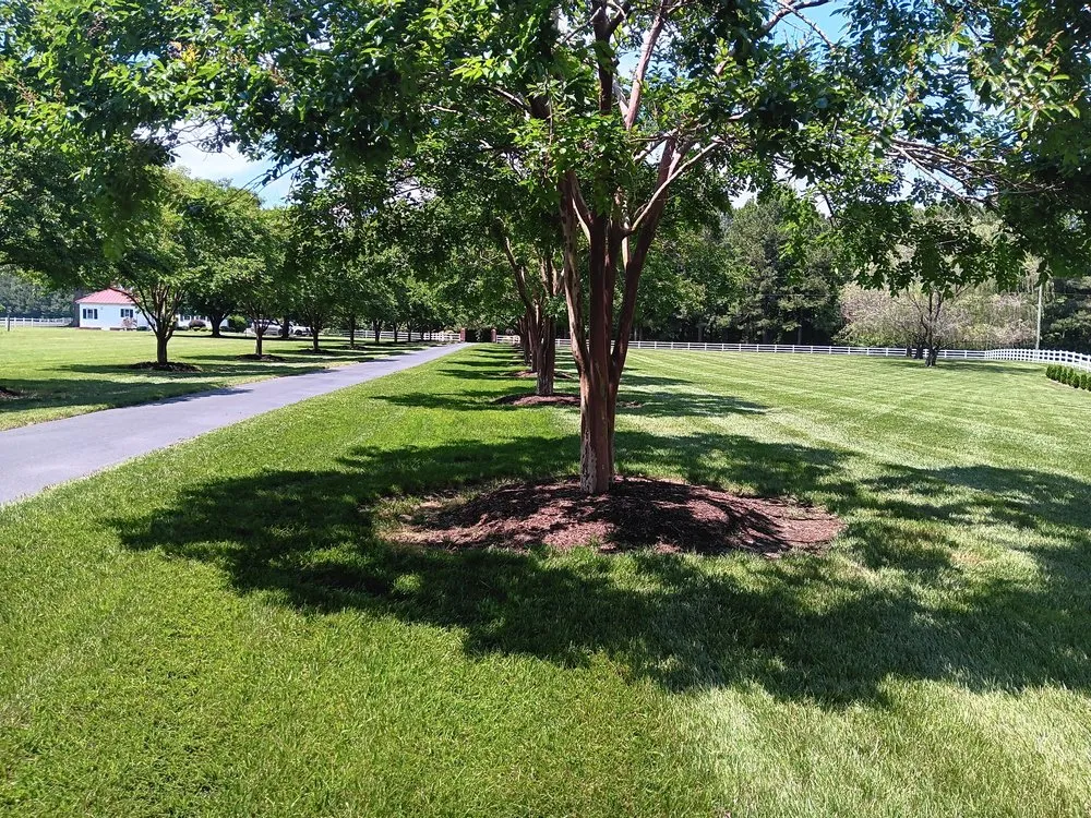 Expert lawn care service in Suffolk, VA by LW Lawn Service