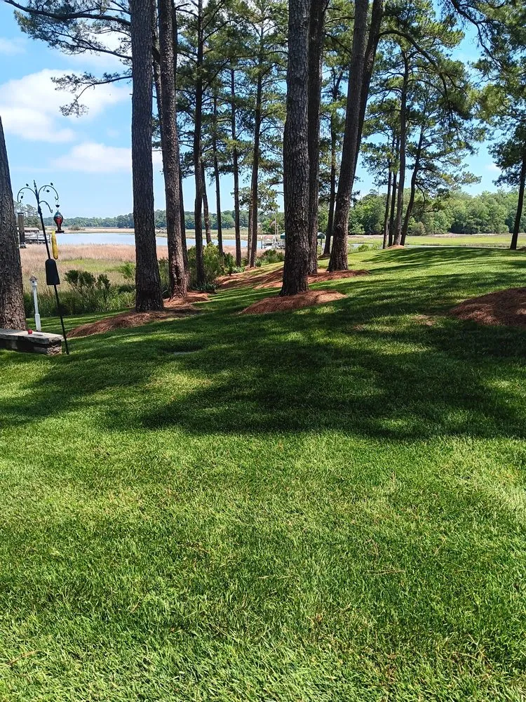 Trusted residential landscaping experts serving Suffolk, VA - LW Lawn Service