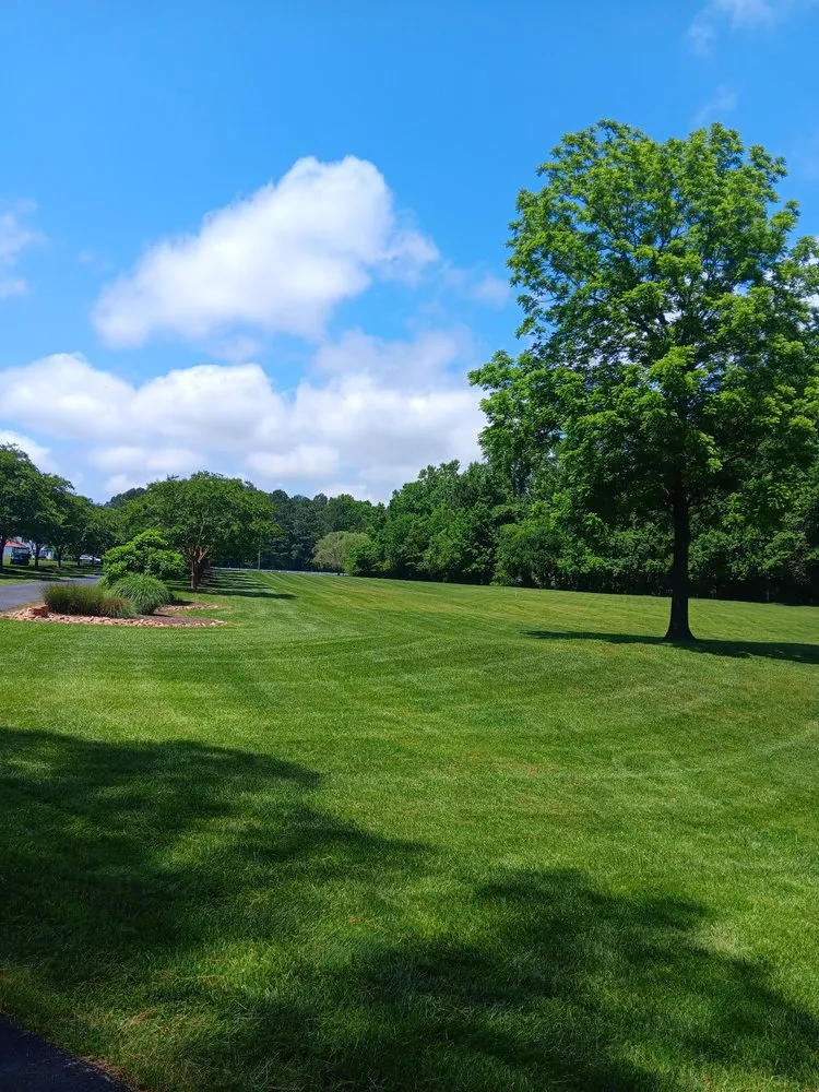 Expert outdoor landscaping for beautiful yards in Suffolk, VA by LW Lawn Service