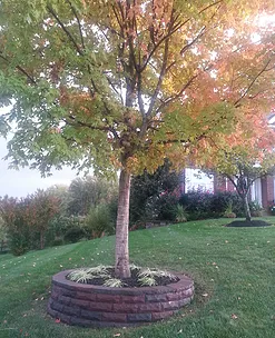 Local lawn mowing service for year-round maintenance across Woodbridge, VA - LWS Lanscape Work Services