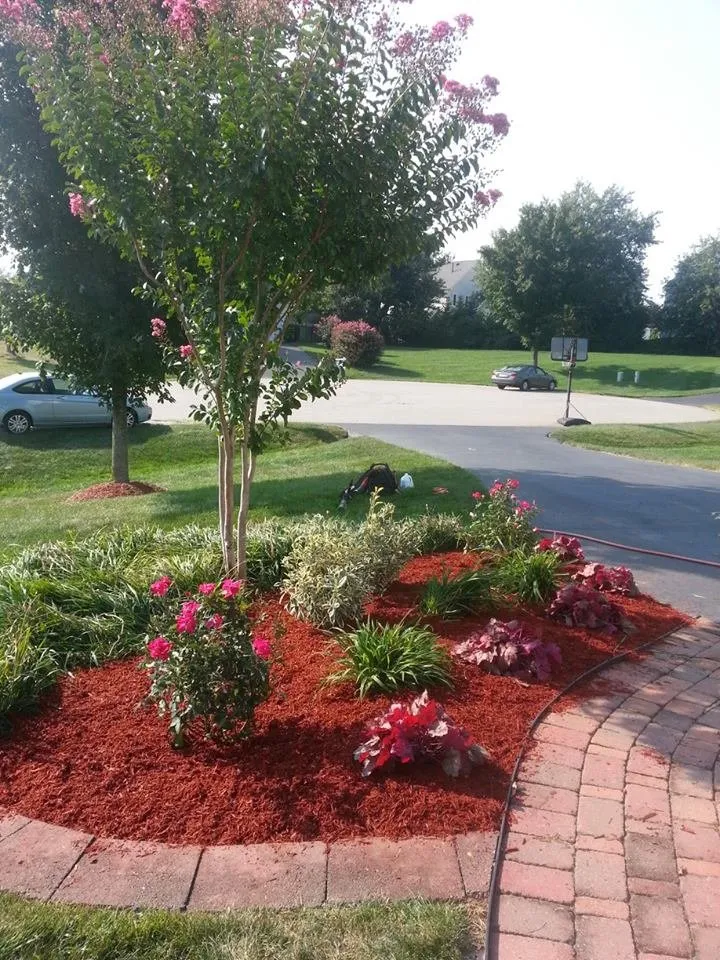 Custom yard cleanup service in Woodbridge, VA by LWS Lanscape Work Services