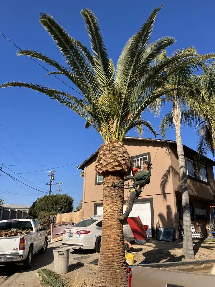 Expert landscape design experts serving Bakersfield, CA - L&Y Landscape And Irrigation