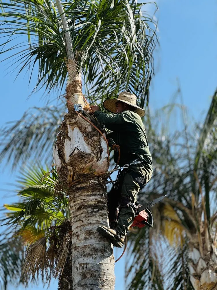 Local residential landscaping for homes in Bakersfield, CA by L&Y Landscape And Irrigation