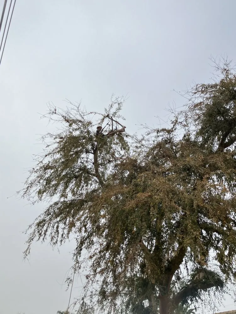 Affordable lawn mowing service for outdoor upgrades across Bakersfield, CA - L&Y Landscape And Irrigation