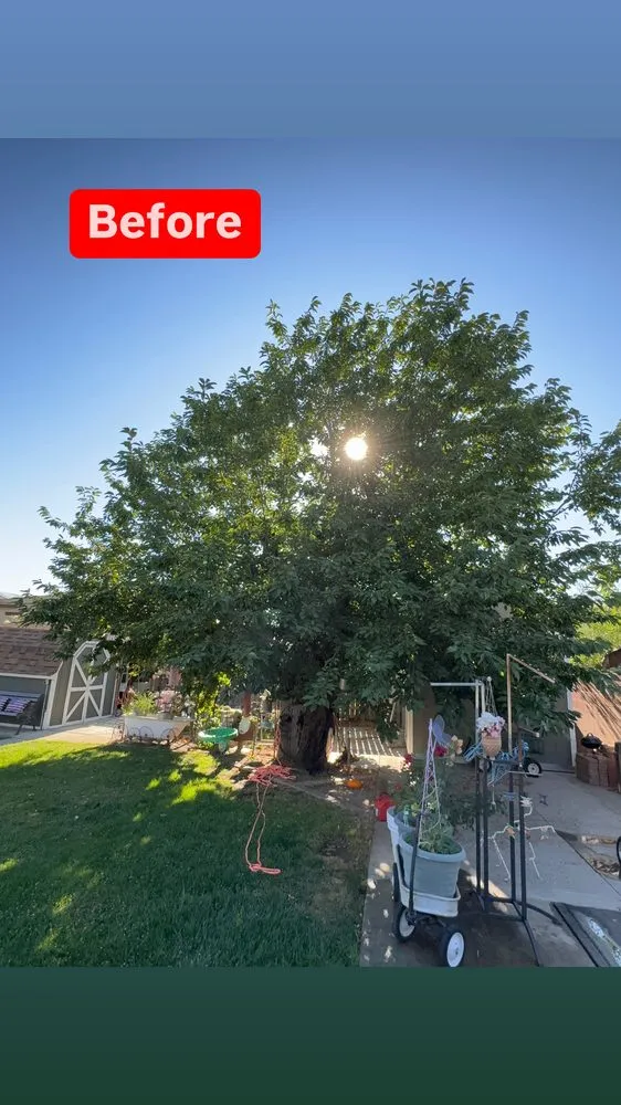 Trusted garden landscaping experts serving Bakersfield, CA - L&Y Landscape And Irrigation