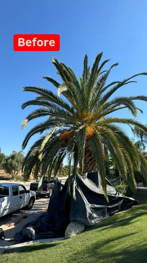 Expert landscape installation in Bakersfield, CA - L&Y Landscape And Irrigation