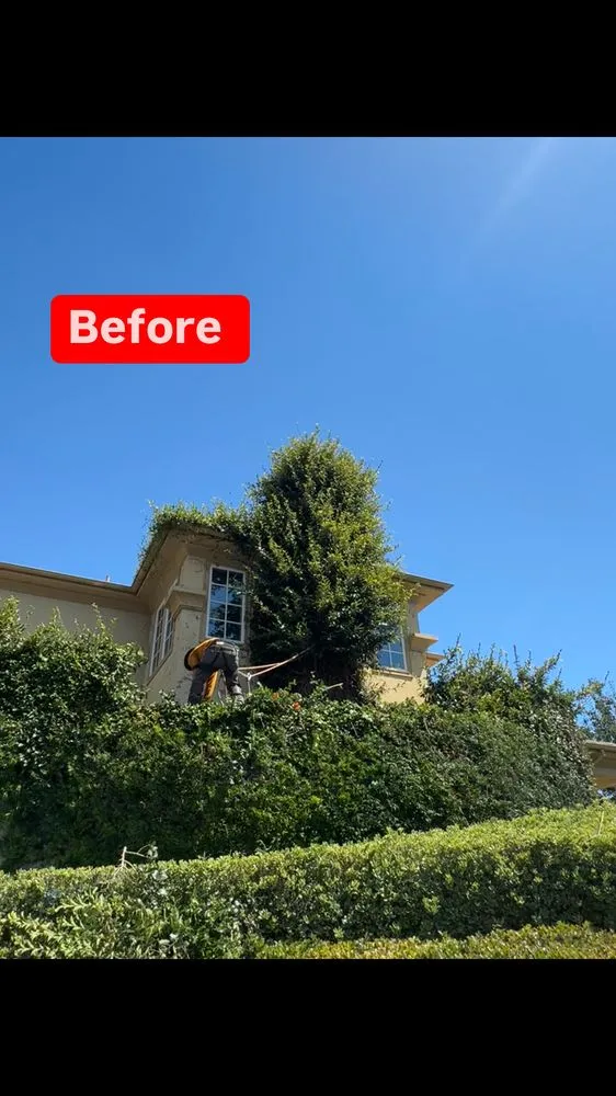 Local lawn mowing service experts serving Bakersfield, CA - L&Y Landscape And Irrigation