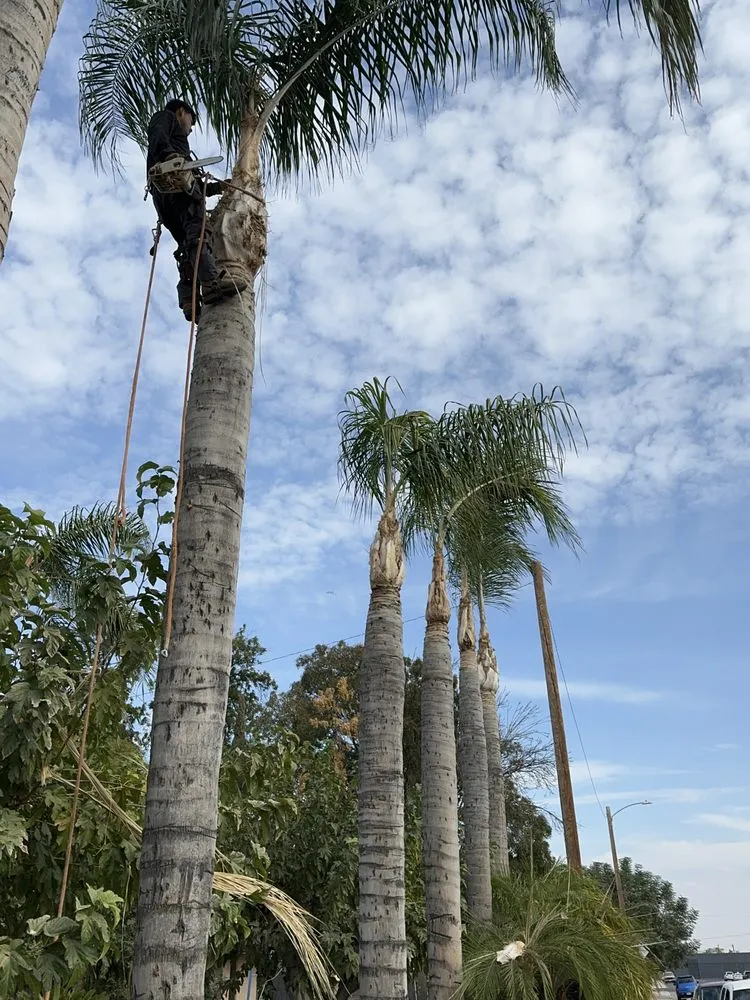 Custom garden landscaping near you in Bakersfield, CA by L&Y Landscape And Irrigation