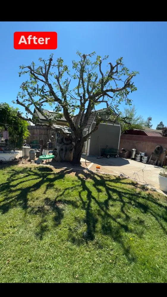 Local landscaping services near you in Bakersfield, CA by L&Y Landscape And Irrigation