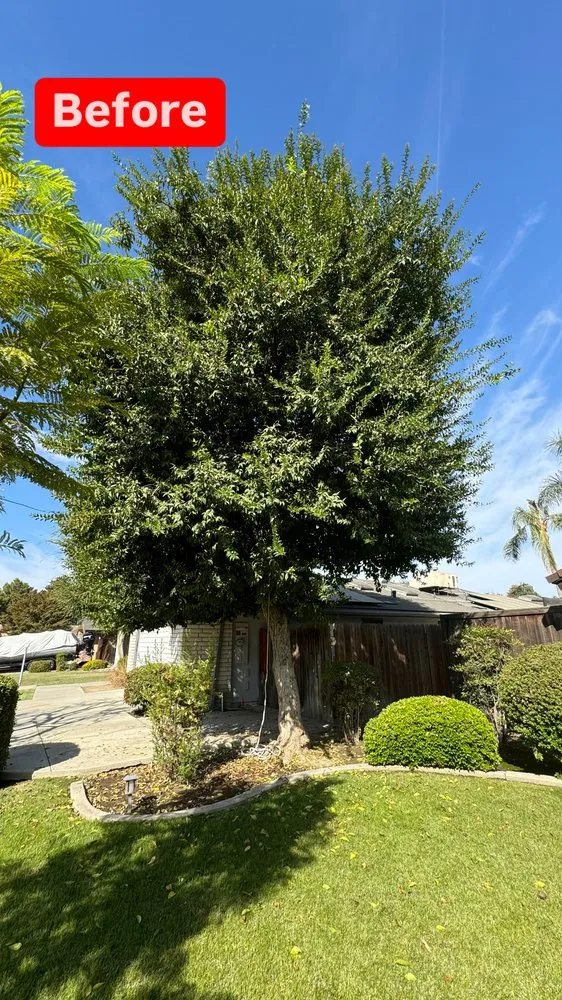 Professional landscaping services experts serving Bakersfield, CA - L&Y Landscape And Irrigation