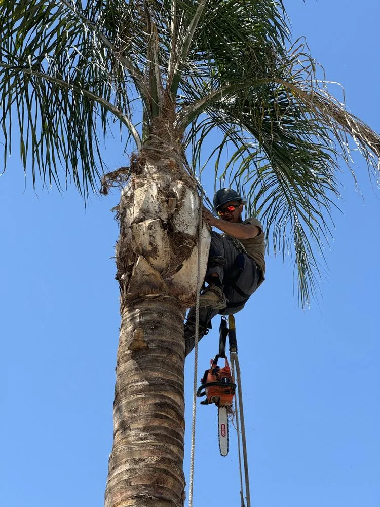 Reliable landscaping services for outdoor upgrades in Bakersfield, CA by L&Y Landscape And Irrigation