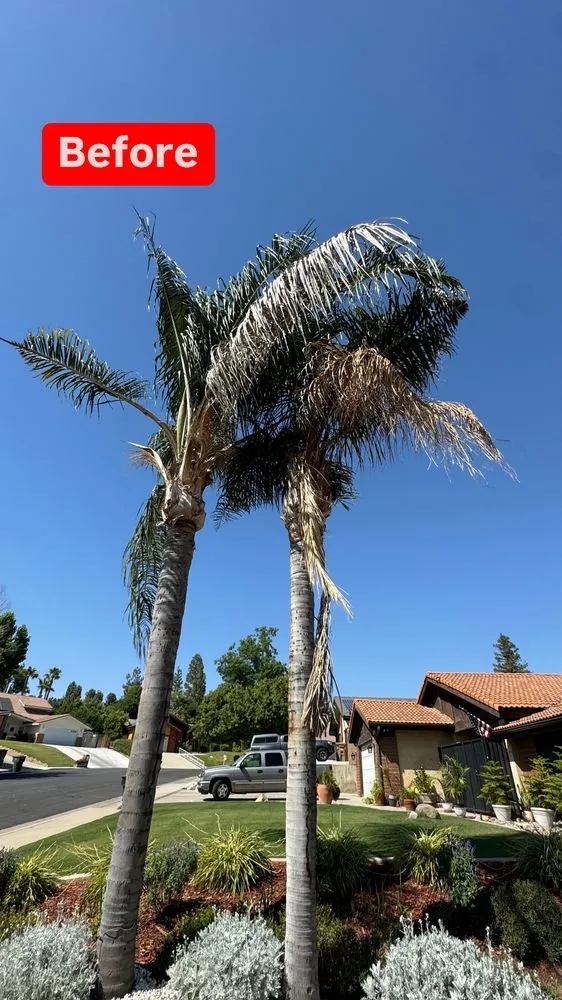 Reliable yard maintenance near you across Bakersfield, CA - L&Y Landscape And Irrigation