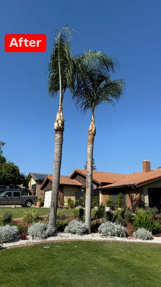 Reliable yard maintenance for homes across Bakersfield, CA - L&Y Landscape And Irrigation