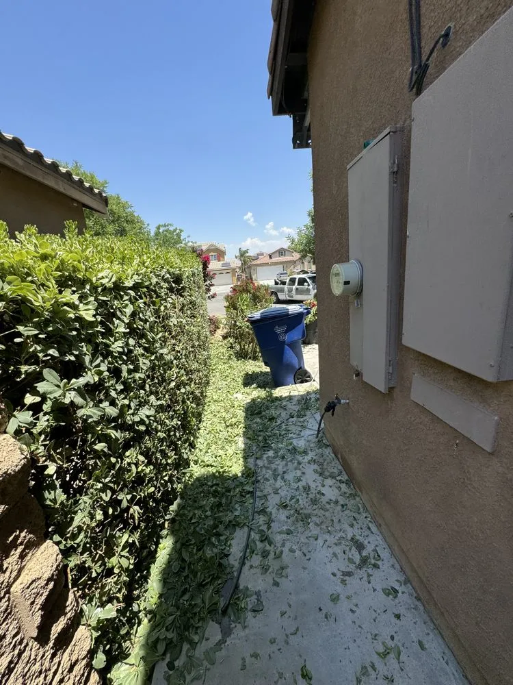 Expert lawn mowing service in Bakersfield, CA by L&Y Landscape And Irrigation