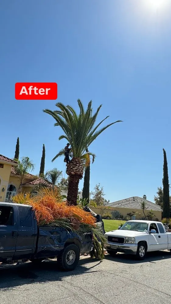 Custom outdoor landscaping for homes across Bakersfield, CA - L&Y Landscape And Irrigation