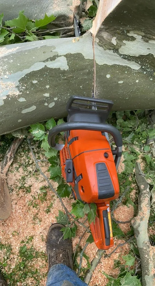 Professional lawn care service experts serving Cortland, OH - Lybarger Services